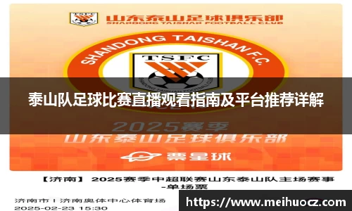 泰山队足球比赛直播观看指南及平台推荐详解
